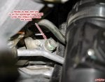 subi 8.jpg