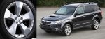 FOZ0917X7.jpg
