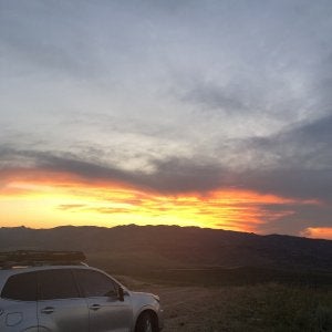 IMG_8069.jpeg