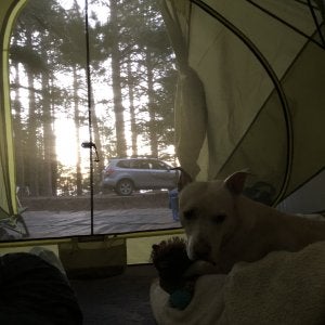 IMG_5813.jpeg